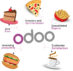 The secret recipe of Success with Odoo