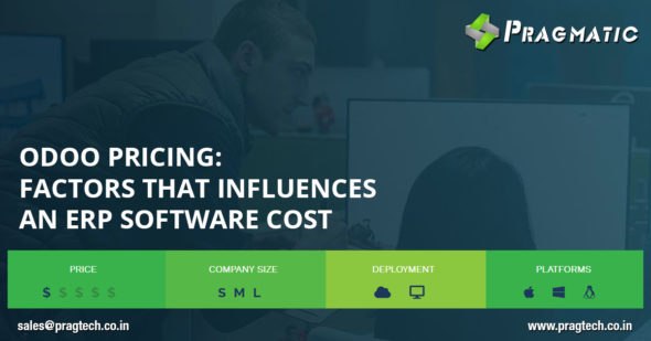 Odoo Pricing : Factors that Influences an ERP Software Cost