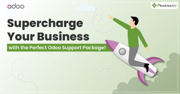 Odoo Support Packages: Which One is Right for Your Business?