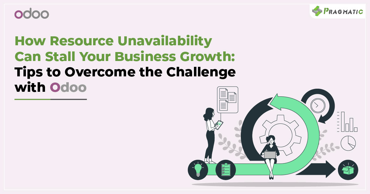 Developer Unavailability Don't Let Resource Unavailability Derail Your ERP Implementation ...