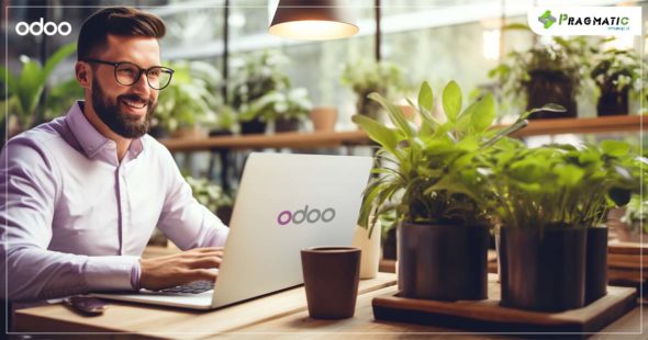 Can Odoo Consultants Drive Sustainability in Business Operations? [The Unsung Heroes]