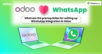 What are the prerequisites for setting up WhatsApp integration in Odoo