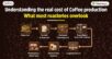 Understanding the real cost of Coffee production:  What most roasteries overlook